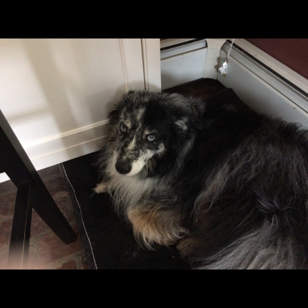 Meet your Posher, Martha